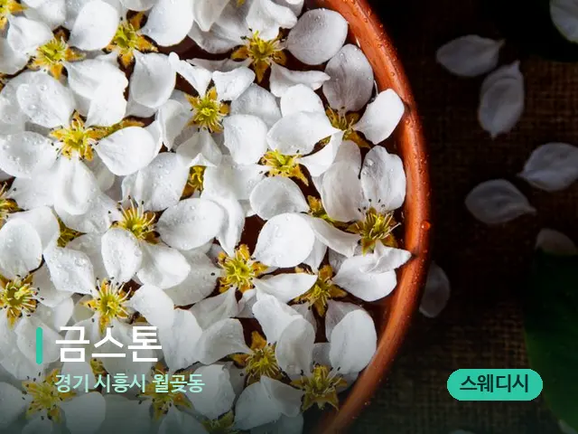 경기 시흥시 월곶동 금스톤 — 아로마 오일을 쓰는 관리 장면