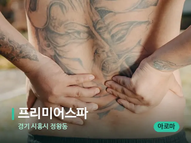 경기 시흥시 정왕동 프리미어스파 — 등·허리 관리 장면