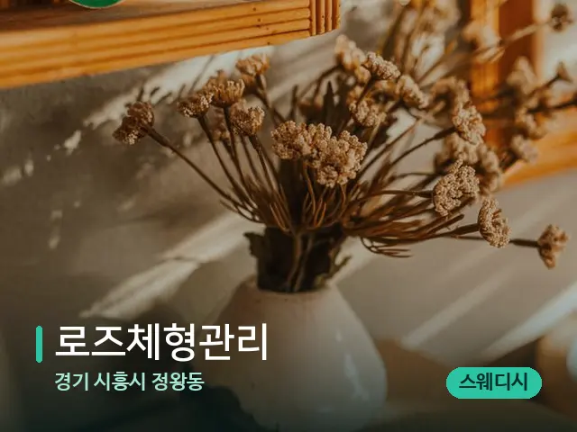 경기 시흥시 정왕동 로즈체형관리 — 데이 스파 인테리어