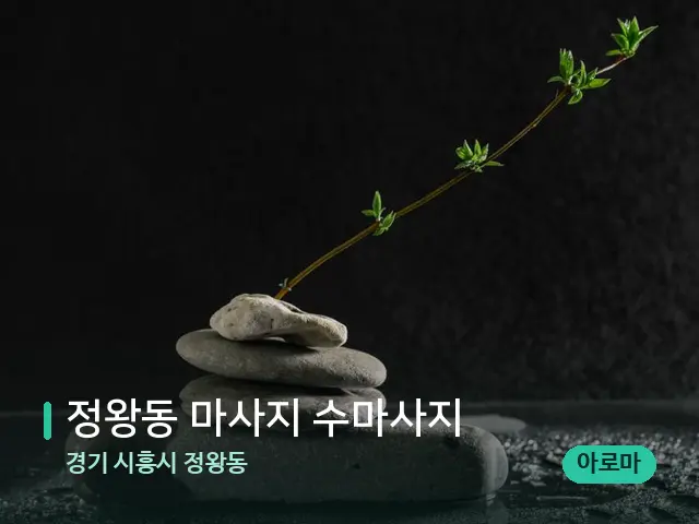 경기 시흥시 정왕동 정왕동 마사지 수마사지 — 핫스톤을 올린 관리 장면
