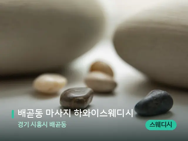 경기 시흥시 배곧동 배곧동 마사지 하와이스웨디시 — 핫스톤을 올린 관리 장면